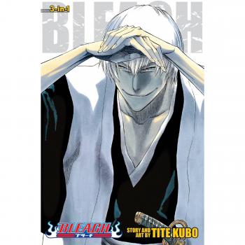 Bleach: 3-in-1 Edition 7