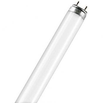 Osram FLUORA T8 - Lámpara fluorescente, G13L 18 W/77
