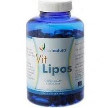 Infutisa Ginkgo Biloba Infusión 25 Bolsitas