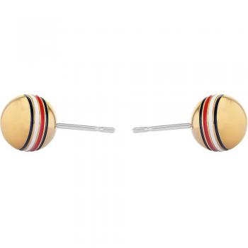 Pendientes de Acero Inoxidable para Mujer Tommy Hilfiger Mod. 2780517