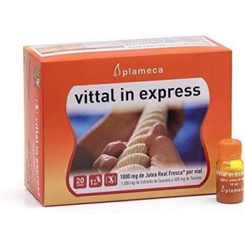 Plameca - Vittal in Express Jalea Real 20 Viales Bebibles de 10 ml