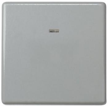 Pulsador Simon 27 con módulo luminoso 10AX 250V gris