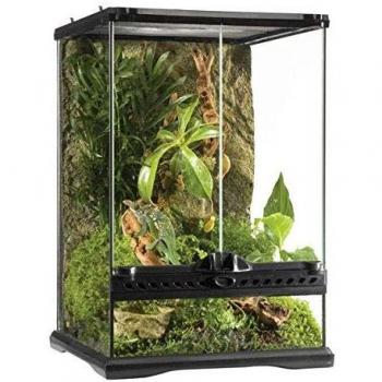 EXO TERRA Terrario Mini Tall de 40,5 L, 30 x 30 x 45 cm