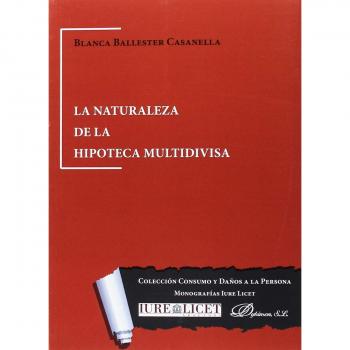 La naturaleza de la hipoteca multidivisa