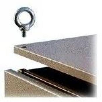 Argollas de Transporte Rittal 4568.000 - Pack de 4, Rosca M12, Metal
