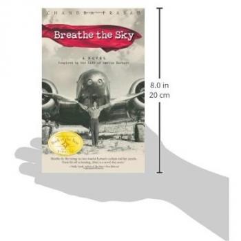 Respira el Cielo: Novela Inspirada en la Vida de Amelia Earhart