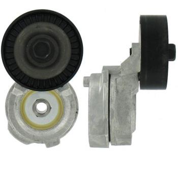 Polea Correa Multiv Skf Vkm 38602