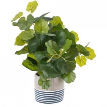 Planta Decorativa Cemento PEVA Hojas Verde 11.5 x 11.5 x 39 cm - Material Duradero - Decoración Única