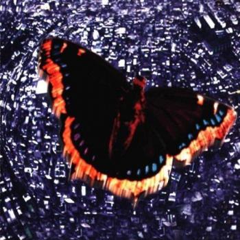 The Royal Treatment - Baroness