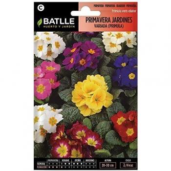 Semillas de Flores - Primavera Jardines variada