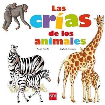 Las crías de los animales - Hédelin, Pascale; Herrbach, Stephane
