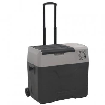 Nevera Portátil - Polipropileno Negro y Gris - 50 L