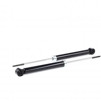 RIDEX 854S0808 Amortiguador, Set de 2