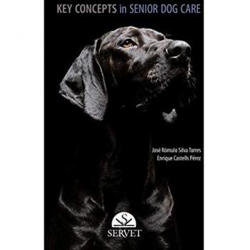 Key Concepts In Senior Dog Care