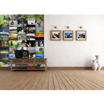 1 Wall Villager Jim Animal Photo 64 Piece Creative Collage Wall Art C64P-VILLAGE-001