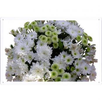 Metal cartel Cartel de chapa Hojalata sesión Flower Tin Sign Chrysanthemums Flowers White Flower Tenderness 28143 Retro Vintage Pared Decoración by hamgaacaan