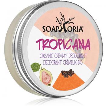 Soaphoria Tropicana Organic Cream Deodorant 50 ml