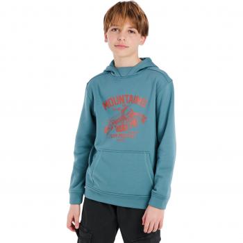 Protest Kestrel Jr Boys Hoodie Atlantic Green 164 cm