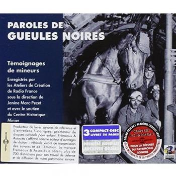 Testimonies of French Miners: Voices from the Coalfields