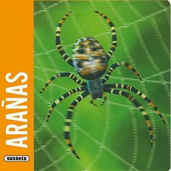 Arañas - Susaeta, Equipo
