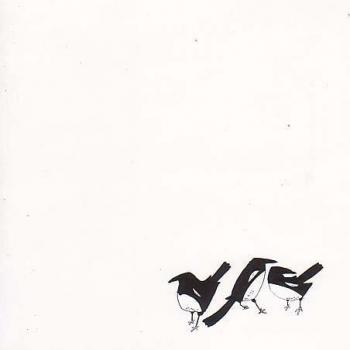 Chiff-Chaffs And Willow Warblers