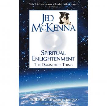 Spiritual Enlightenment: The Damnedest Thing - Book One of The Enlightenment Trilogy by Jed McKenna (Paperback Edition)