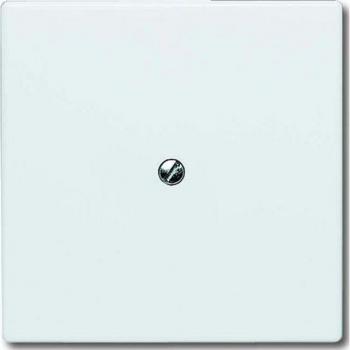 Placa Central Ciega Busch-Jaeger 2138-32 Crema IP44