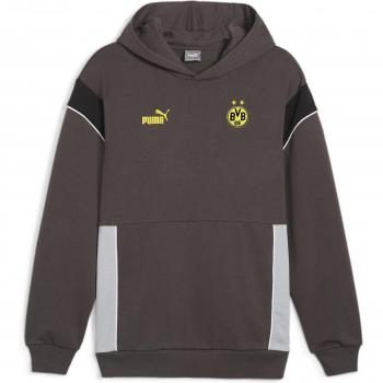 Puma Borussia Dortmund Men's Hoodie Archive 2023/24 Gray Sweatshirt