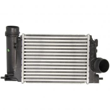Intercooler THERMOTEC DA1006TT - Radiador de aire de admisión alto rendimiento