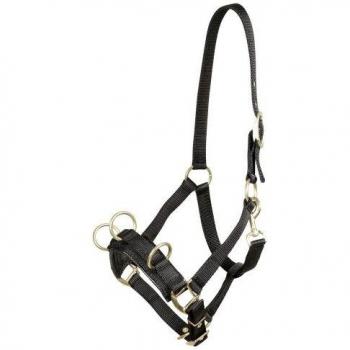 PFIFF Bridle Nylon - Brida, tamaño Full/Warmblut, color negro