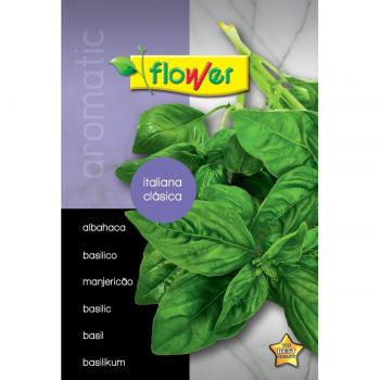 Albahaca italiana clásica 50632 Flower