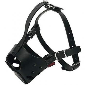 Martin Sellier MUSEL Cuir Amstaff T1 NOI