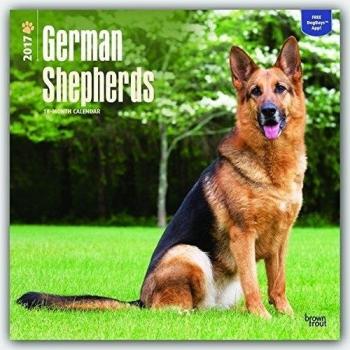 German Shepherds - Deutsche Schäferhunde 2017 - 18-Monatskalender mit freier DogDays-App: Original BrownTrout-Kalender