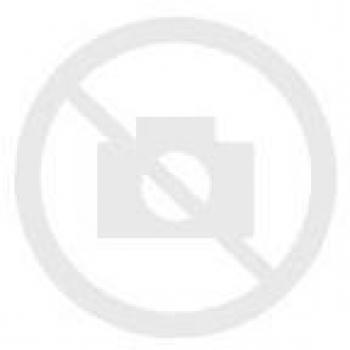 PLASTIMO PL57244, Unisex-Adult, Standard, Normal