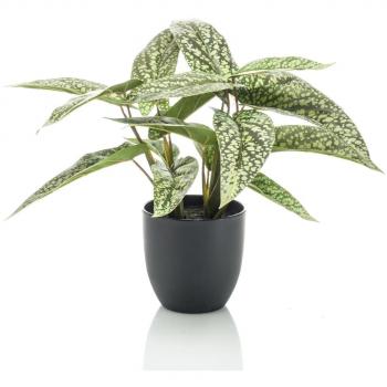 Calathea Artificial Dots 38 cm en Jarrón Verde