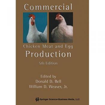 Dual-Purpose Commercial Chicken for Meat and Egg Production