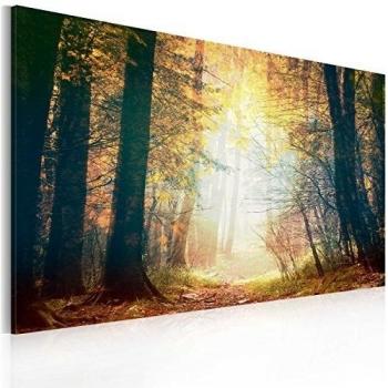 Cuadro en Lienzo 90x60 cm! 1 parte - Grande Formato - Impresion en calidad fotografica - Cuadro en lienzo - una pieza naturaleza 030112-38 90x60 cm B&D XXL