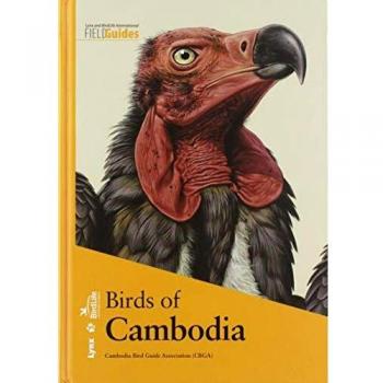 Birds Of Cambodia