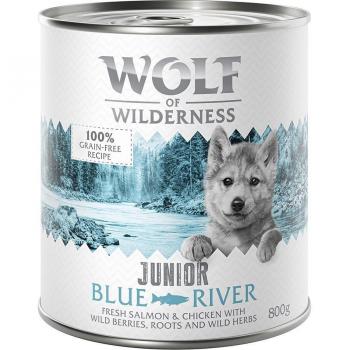 Wolf of Wilderness Junior 6 x 800 g Comida Húmeda para Perros - Blue River con Pollo y Salmón