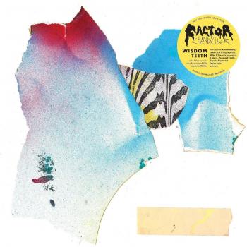 Vinyl Wisdom Teeth Remover