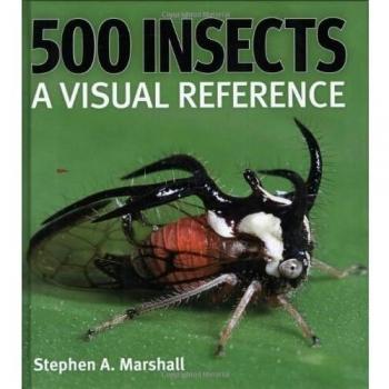 500 Insects: A Visual Reference