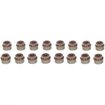 Juego de juntas vástago de válvula REINZ 12-53494-01 con características de alta calidad, resistencia a temperaturas extremas y adecuado para aplicaciones automotrices