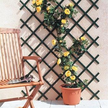 Intermas CELOSIA NORTENE TRELLIFLEX 1 x 2 m Verde