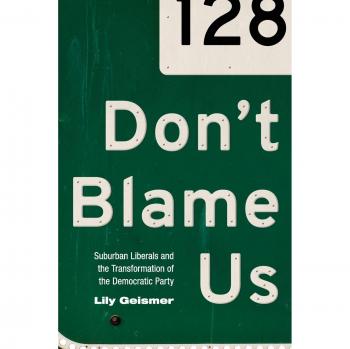 Don't Blame Us: Suburban Liberals and the Transformation of the Democratic Party - Politics and Society in Twentieth-Century America by Lily Geismer