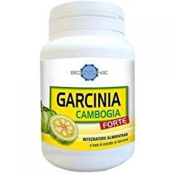 Garcinia Cambogia Forte 60 cápsulas