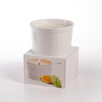 Vela Perfumada Grand Soufflé 250ml - Ficus de la India