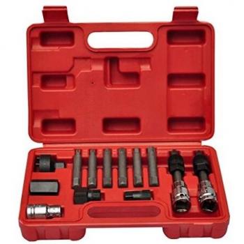 vidaXL Kit de Herramienta de Coche del alternador