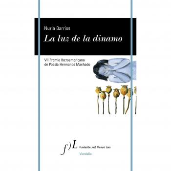 La luz de la dinamo