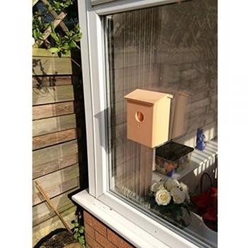 Viewing Box