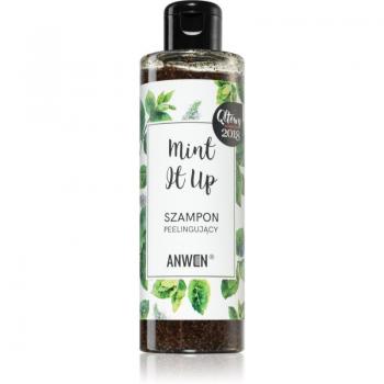 Anwen Mint It Up Exfoliating Hair Peeling Shampoo 200ml